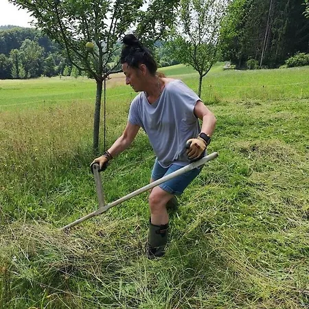 One-bedroom بيت للعطل