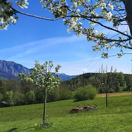 One-bedroom بيت للعطل