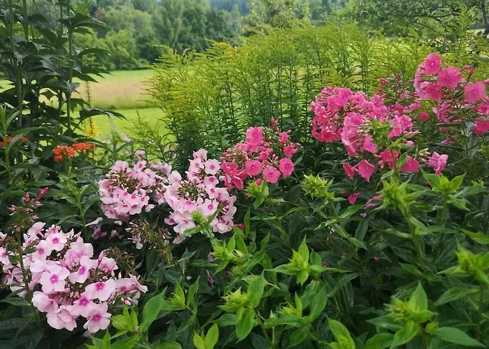 One-bedroom Nussdorf am Attersee