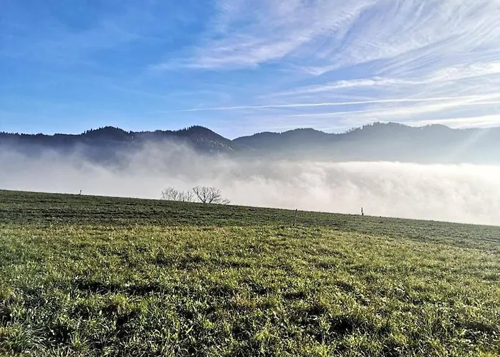 One-bedroom Nussdorf am Attersee