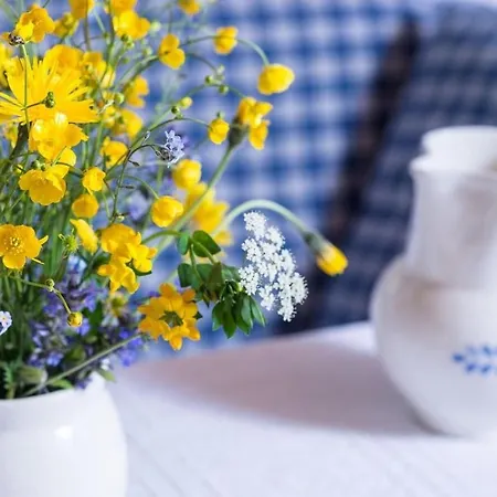 One-bedroom * 널스돌프앰아테시