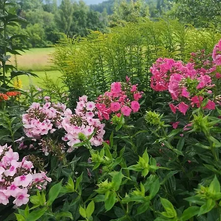 One-bedroom Nussdorf am Attersee