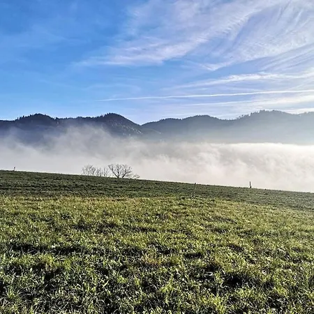 One-bedroom Nussdorf am Attersee