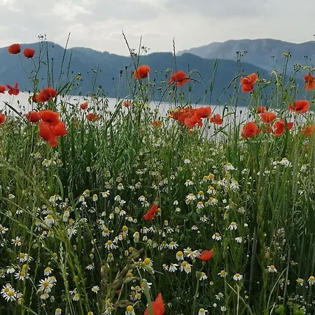 One-bedroom 널스돌프앰아테시