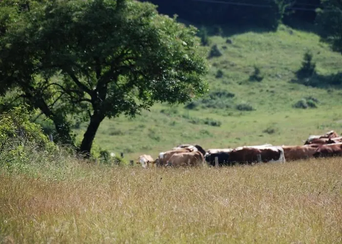 One-bedroom 펜션 *