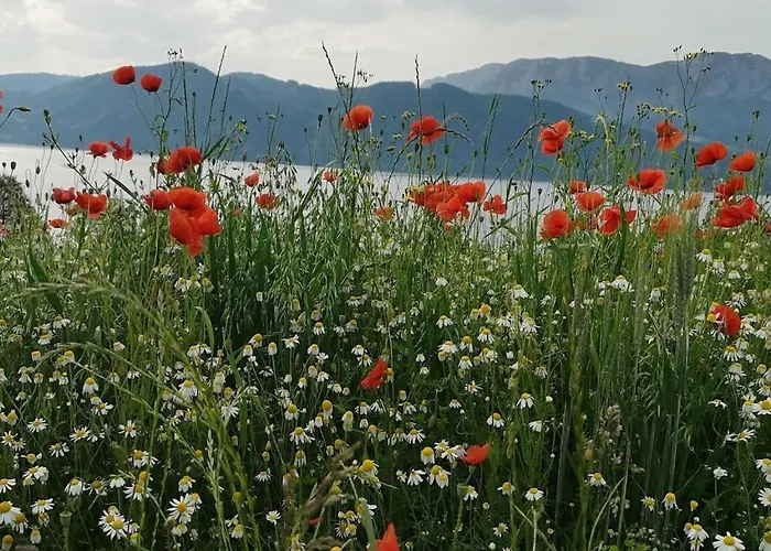 One-bedroom 널스돌프앰아테시